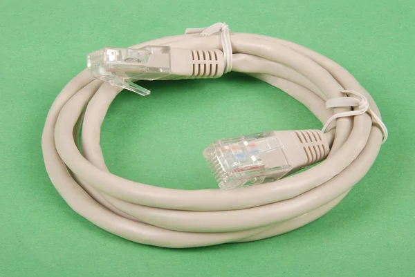 Câble réseau gris cordon patch avec fiche RJ45 moulée — Photo