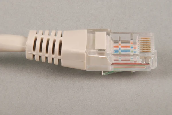 Кабель и разъем Lan RJ45 — стоковое фото