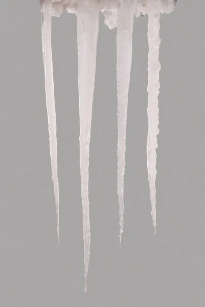 Icicle isolated on a grey (Clipping path) — Stock Photo, Image