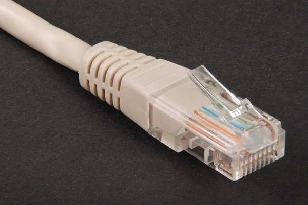 Lan cable and connector RJ45 — Stock Photo, Image