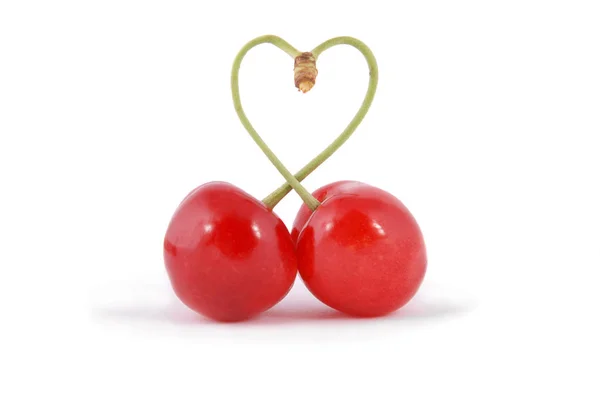 심장 모양의 달콤한 체리 과일의 쌍 줄기 — 스톡 사진