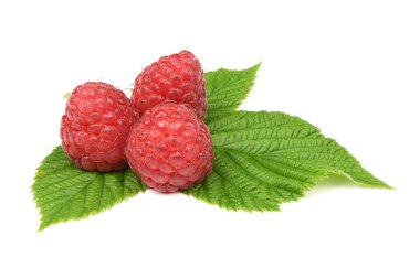 Beyaz izole yaprakları ile Ahududu dal
