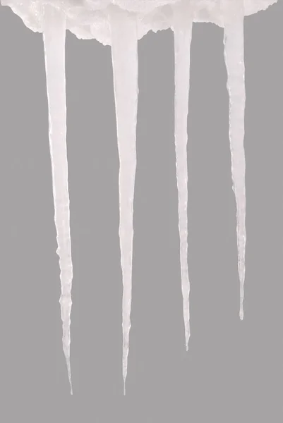 Icicle isolated on a grey (Clipping path) — Stock Photo, Image