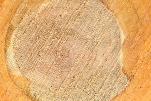 带有年度戒指特写的新鲜树桩表面的顶视图。用作背景. — 图库照片