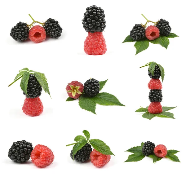 九个成熟的黑莓和覆盆子隔离的白色背景 高分辨率照片 实地的全部深度 — 图库照片