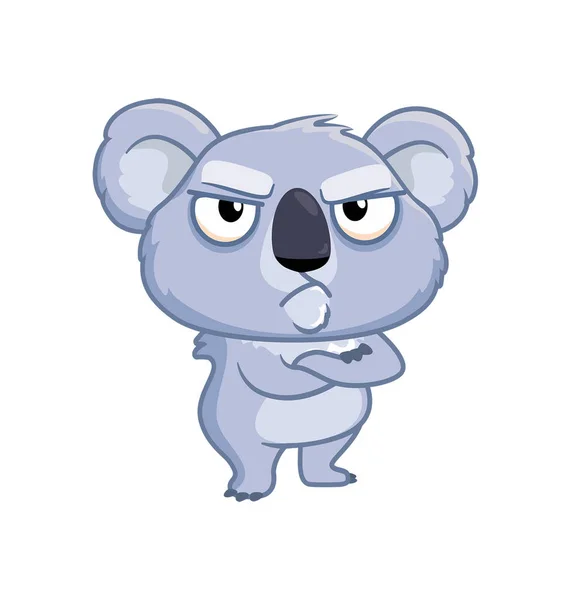 Beyaz üzerine kızgın Koala