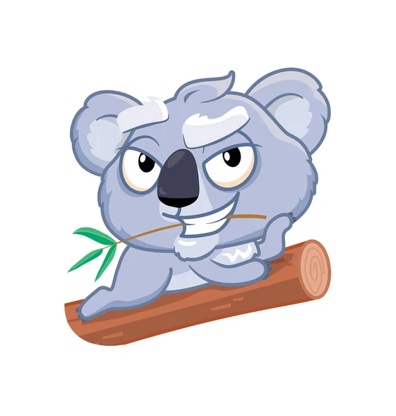 Флірт коала над білим — стокове фото