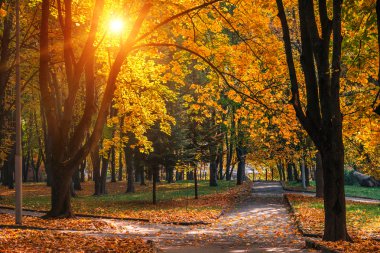 Muhteşem sonbahar manzara 