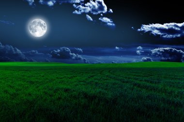 yeşil gece alan