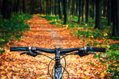 Dağ bisikleti tepeden aşağı