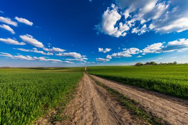 Tarlada kırsal yol