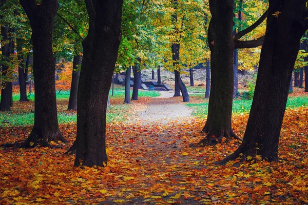 Herrliche Herbstlandschaft — Stockfoto