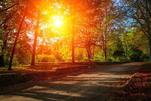 豪華な秋の風景 — ストック写真