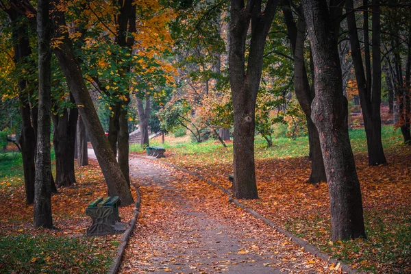 Чудовий краєвид осінь — стокове фото