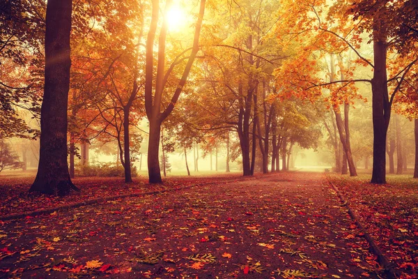 Przepiękny krajobraz jesienny — Zdjęcie stockowe