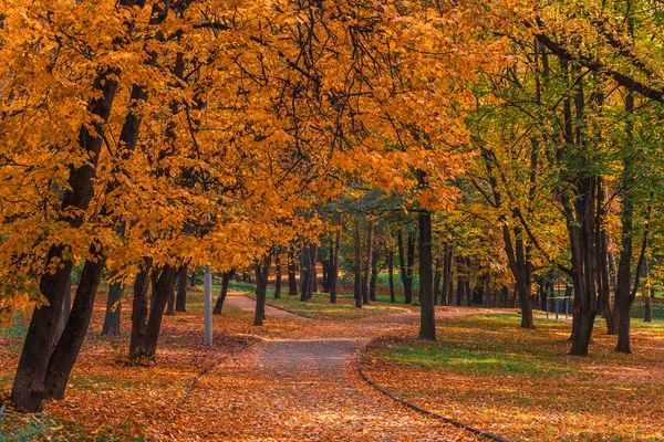 Splendido paesaggio autunnale — Foto Stock