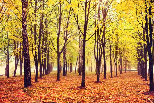 Lindas paisagens de outono — Fotografia de Stock
