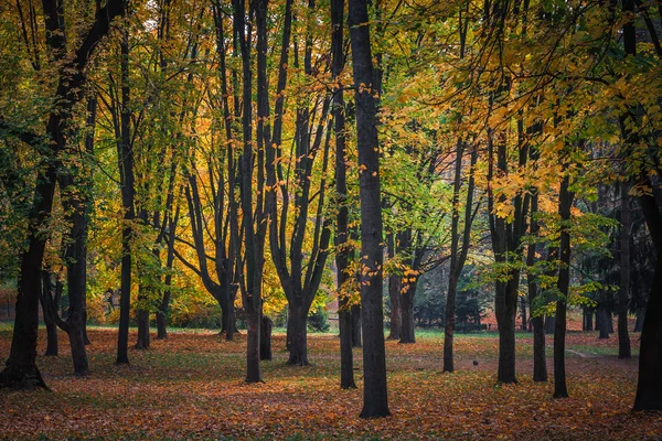 Lindas paisagens de outono — Fotografia de Stock