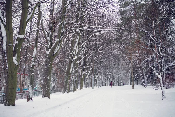 Weißer Winter im Park — Stockfoto