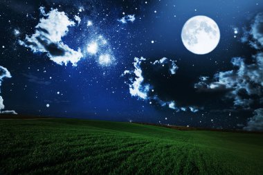 yeşil gece alan. yıldızlı gökyüzü