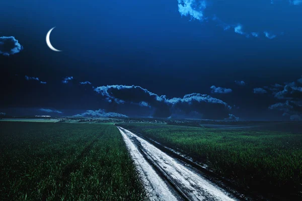 Campo nocturno verde. cielo estrellado — Foto de Stock