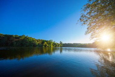 Resimli orman ve nehir.