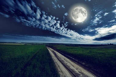 yeşil gece alan. yıldızlı gökyüzü