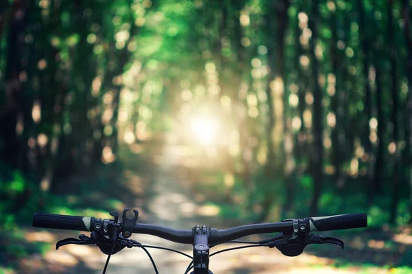 Mountainbiken heuvelafwaarts dalen snel op de fiets. Zicht van motorrijders ogen. — Stockfoto