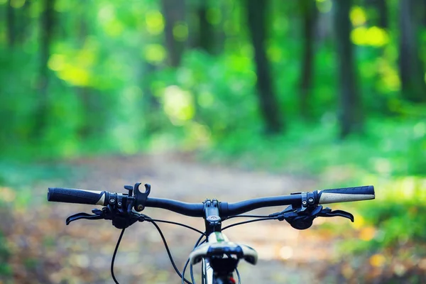 Mountainbiken heuvelafwaarts dalen snel op de fiets. Zicht van motorrijders ogen. — Stockfoto
