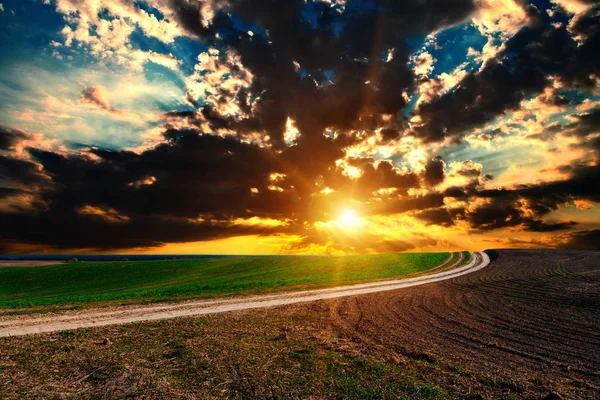 Campo verde e belo pôr do sol — Fotografia de Stock