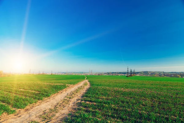 Green Field and Beautiful Sunset — Stock Photo, Image