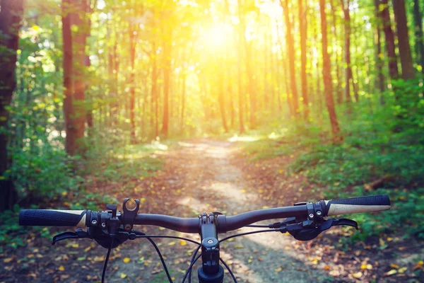 Mountain biking down hill descending fast on bicycle. View from bikers eyes. — Stock Photo, Image