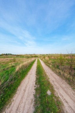 Yaz aylarında güzel yeşil alan.