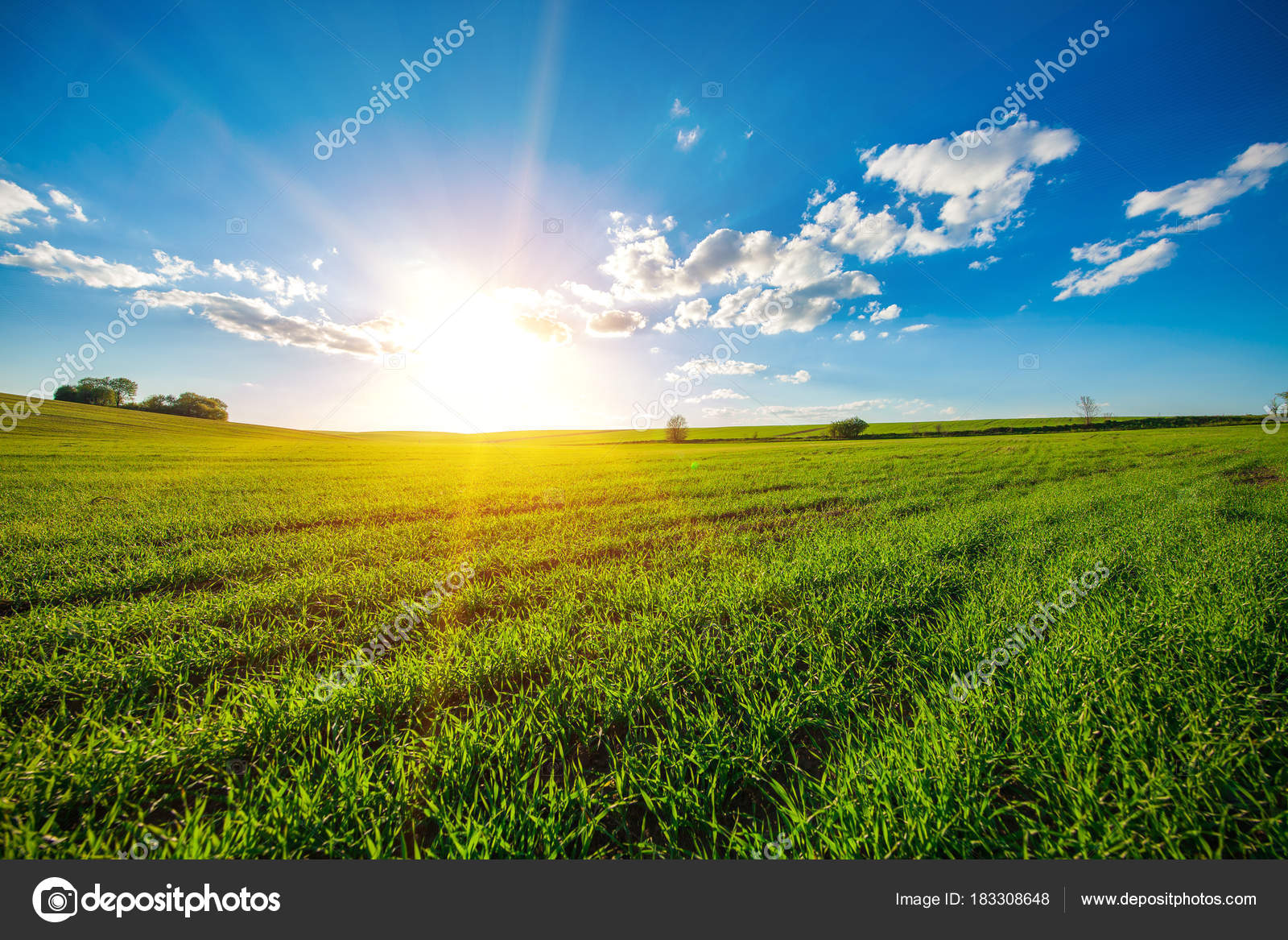 Martin Insurance | Services, image size:1600x1167