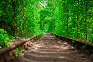 Bahar ormanın içinde bir tren. 