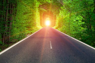 bir demiryolu hız hareket arka plan bahar ormandaki