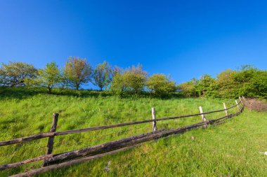 yatay yaz yeşil çayır 