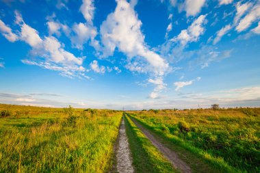 Yaz aylarında güzel yeşil alan.