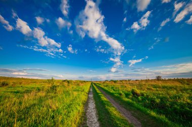 Yaz aylarında güzel yeşil alan.