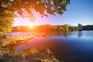 Resimli orman ve nehir.