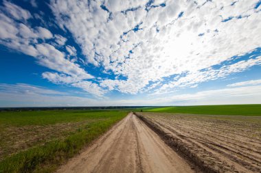Yaz aylarında güzel yeşil alan.