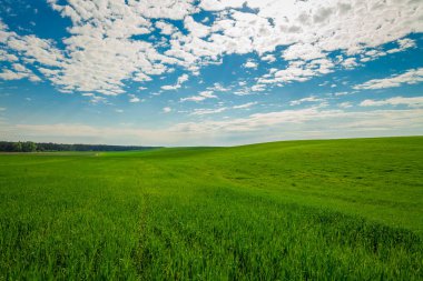 Yaz aylarında güzel yeşil alan.