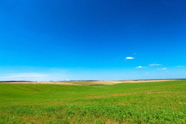 Yaz aylarında güzel yeşil alan.