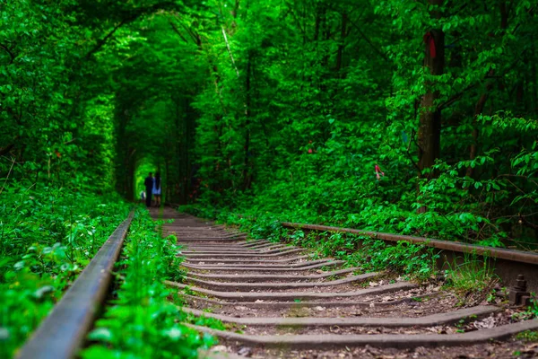 Un ferrocarril en el bosque de primavera . — Foto de Stock