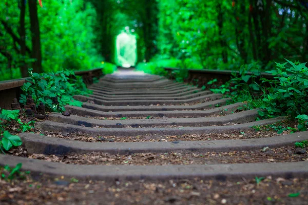 Un chemin de fer dans la forêt de printemps . — Photo