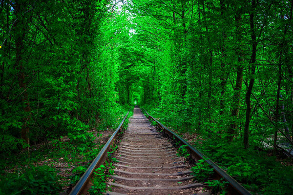 a railway in the spring forest. 