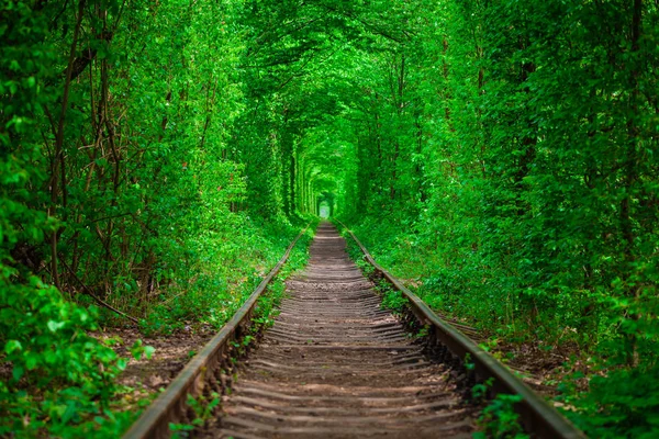 Una ferrovia nella foresta primaverile . — Foto Stock