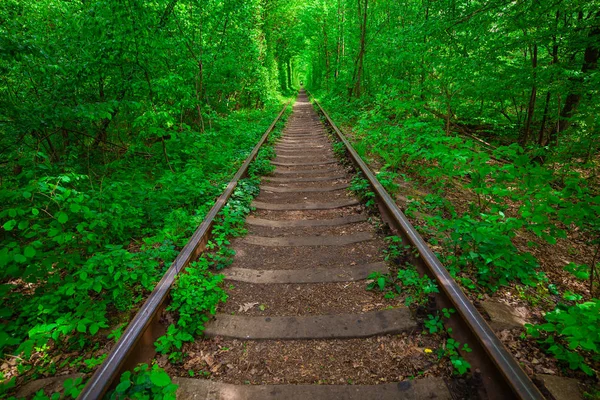 Una ferrovia nella foresta primaverile . — Foto Stock