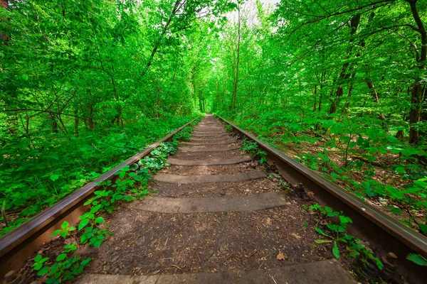 Un ferrocarril en el bosque de primavera . — Foto de Stock