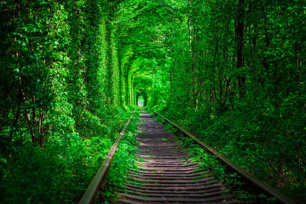 a railway in the spring forest. 